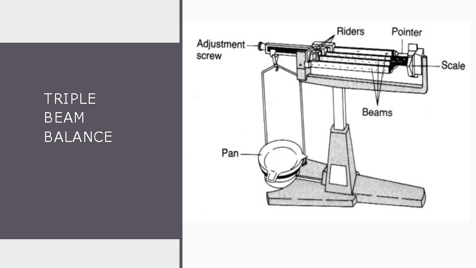 TRIPLE BEAM BALANCE 
