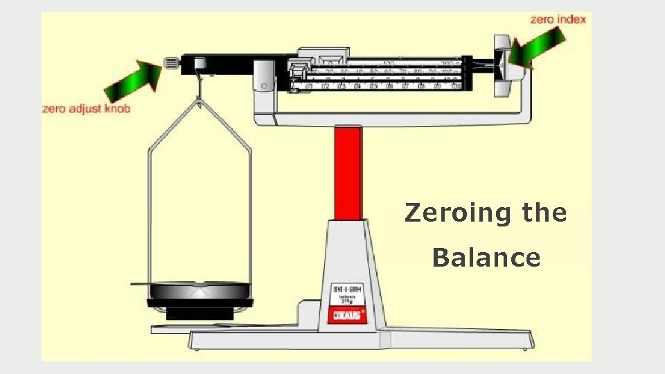 MASS MASS The mass of an object is