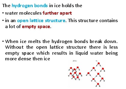 The hydrogen bonds in ice holds the • water molecules further apart • in