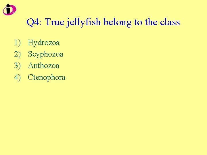 Q 4: True jellyfish belong to the class 1) 2) 3) 4) Hydrozoa Scyphozoa