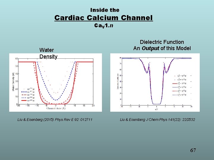 Inside the Cardiac Calcium Channel Ca. V 1. n Water Density Liu & Eisenberg