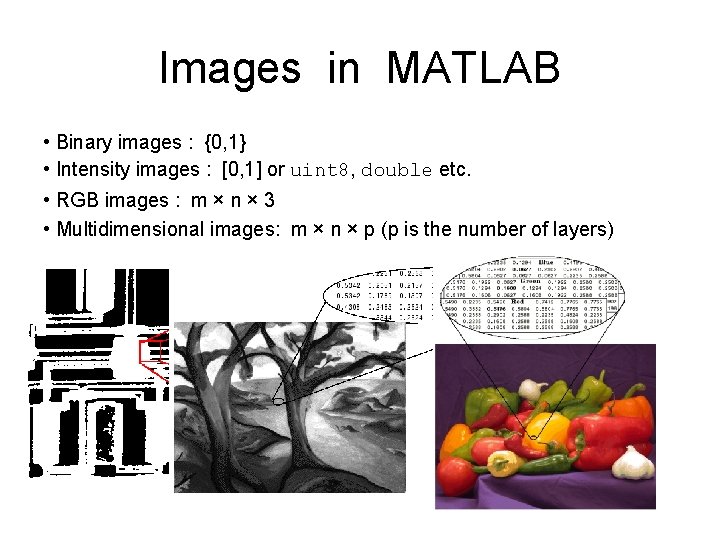 Images in MATLAB • Binary images : {0, 1} • Intensity images : [0, Images in MATLAB • Binary images : {0, 1} • Intensity images : [0,