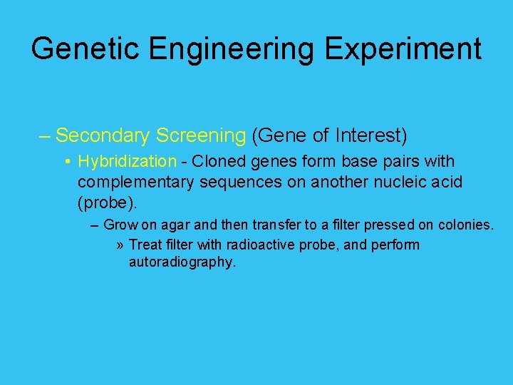 Genetic Engineering Experiment – Secondary Screening (Gene of Interest) • Hybridization - Cloned genes