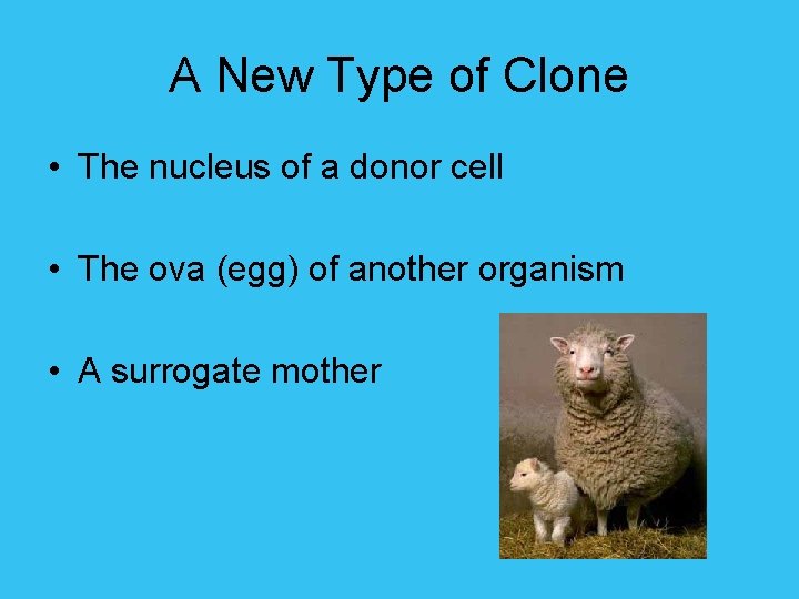 A New Type of Clone • The nucleus of a donor cell • The