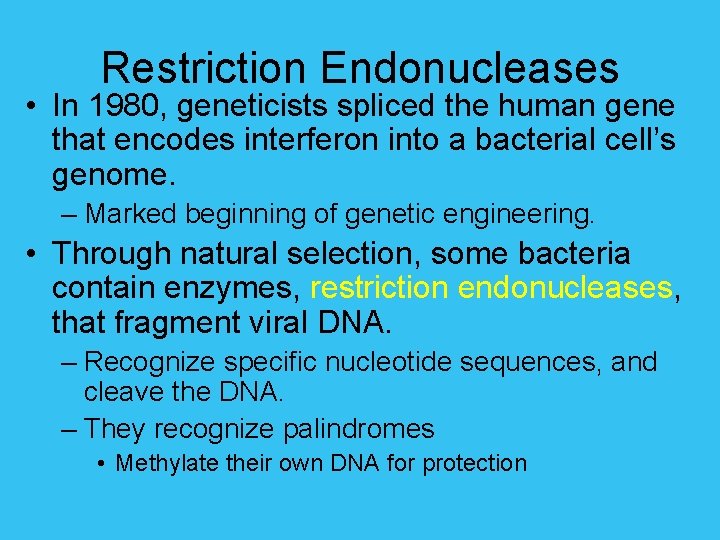 Restriction Endonucleases • In 1980, geneticists spliced the human gene that encodes interferon into