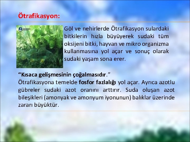 Ötrafikasyon: Göl ve nehirlerde Ötrafikasyon sulardaki bitkilerin hızla büyüyerek sudaki tüm oksijeni bitki, hayvan