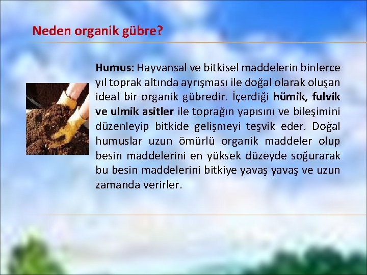 Neden organik gübre? Humus: Hayvansal ve bitkisel maddelerin binlerce yıl toprak altında ayrışması ile