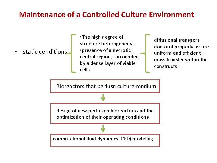 Maintenance of a Controlled Culture Environment • static conditions • The high degree of
