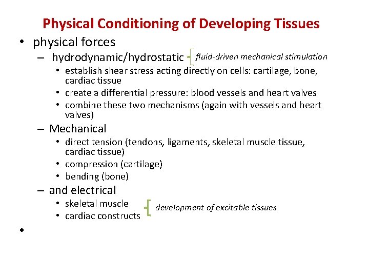 Physical Conditioning of Developing Tissues • physical forces – hydrodynamic/hydrostatic fluid-driven mechanical stimulation •