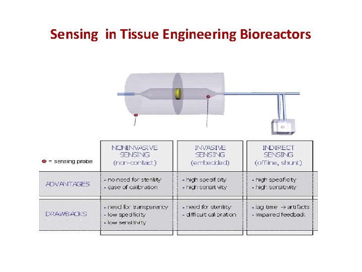Sensing in Tissue Engineering Bioreactors 