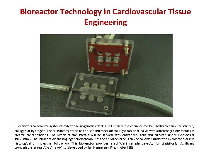 Bioreactor Technology in Cardiovascular Tissue Engineering Bioreactors to evaluate systematically the angiogenetic effect. The