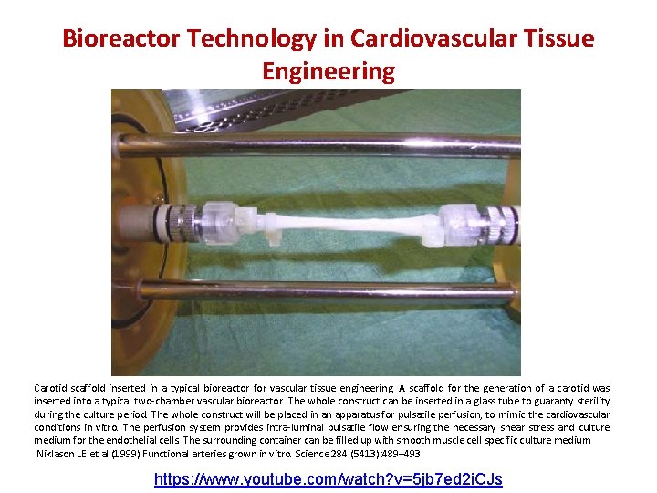 Bioreactor Technology in Cardiovascular Tissue Engineering Carotid scaffold inserted in a typical bioreactor for