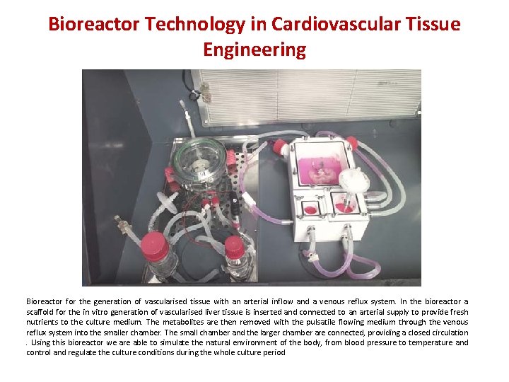 Bioreactor Technology in Cardiovascular Tissue Engineering Bioreactor for the generation of vascularised tissue with