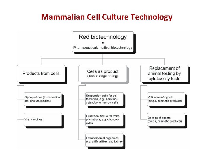 Mammalian Cell Culture Technology 