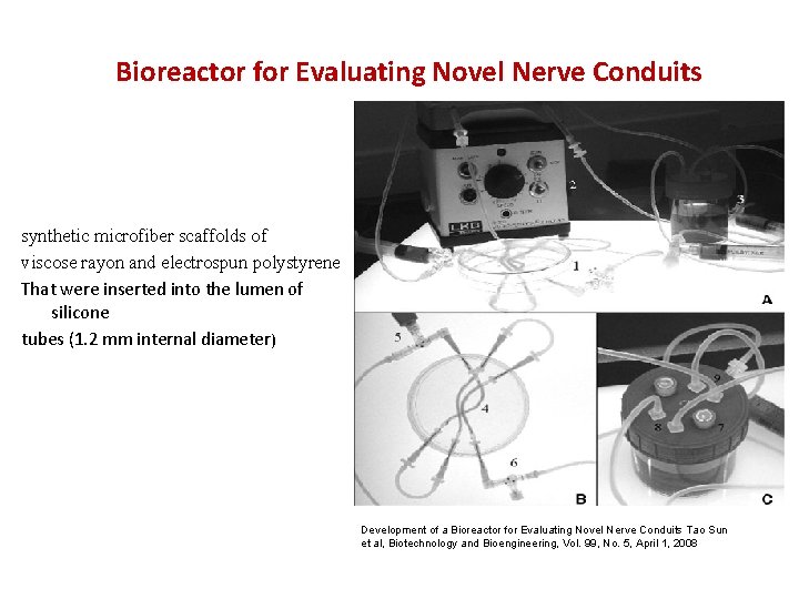 Bioreactor for Evaluating Novel Nerve Conduits synthetic microfiber scaffolds of viscose rayon and electrospun