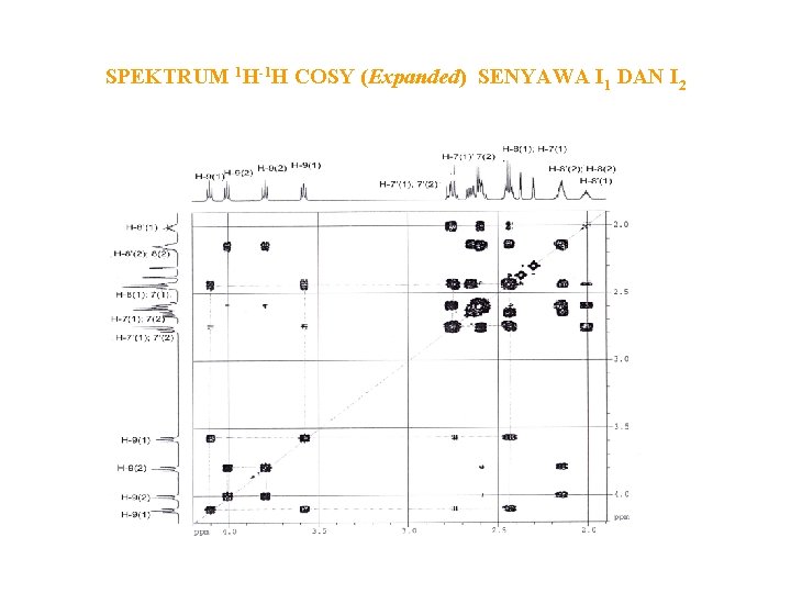 SPEKTRUM 1 H-1 H COSY (Expanded) SENYAWA I 1 DAN I 2 