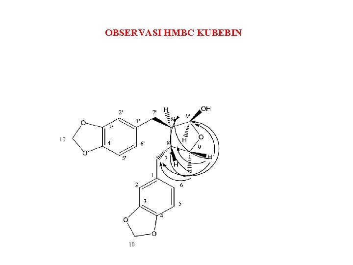 OBSERVASI HMBC KUBEBIN 