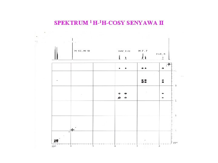 SPEKTRUM 1 H-1 H-COSY SENYAWA II 