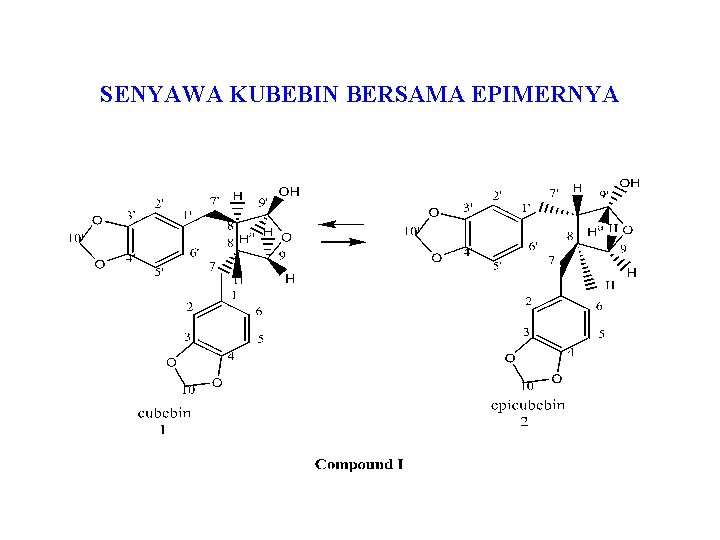 SENYAWA KUBEBIN BERSAMA EPIMERNYA 