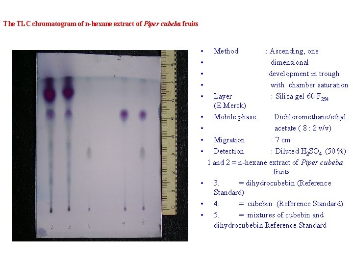 The TLC chromatogram of n-hexane extract of Piper cubeba fruits • • • Method