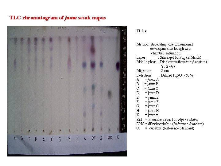 TLC chromatogram of jamu sesak napas TLC c Method: Ascending, one dimensional development in