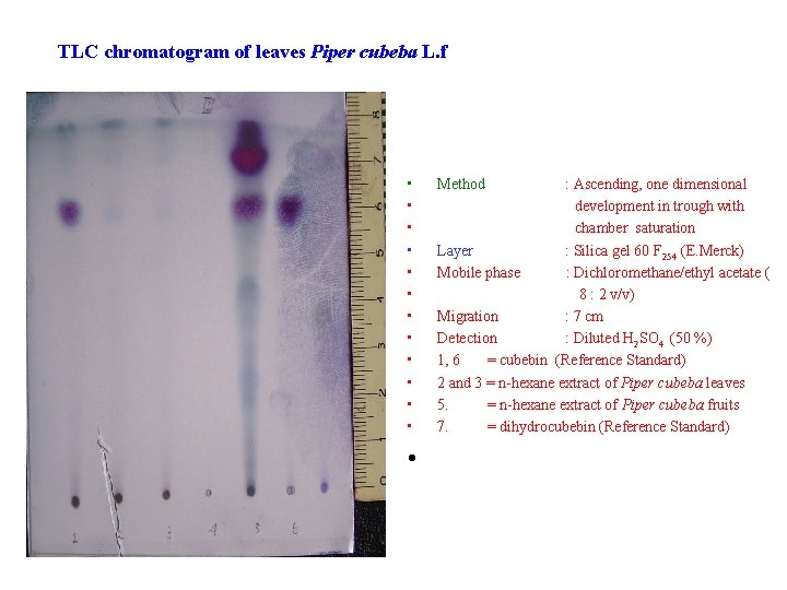 TLC chromatogram of leaves Piper cubeba L. f • • • • Method :