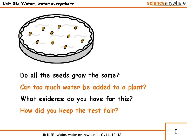 Unit 3 B: Water, water everywhere Do all the seeds grow the same? Can