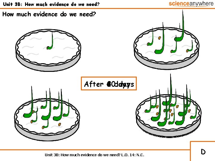 Unit 3 B: How much evidence do we need? After 10 2 days 4