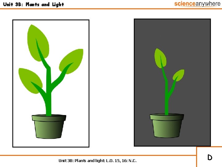 Unit 3 B: Plants and Light Unit 3 B: Plants and light: L. O.