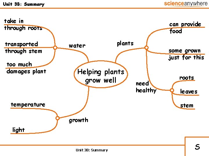 Unit 3 B: Summary take in through roots transported through stem too much damages