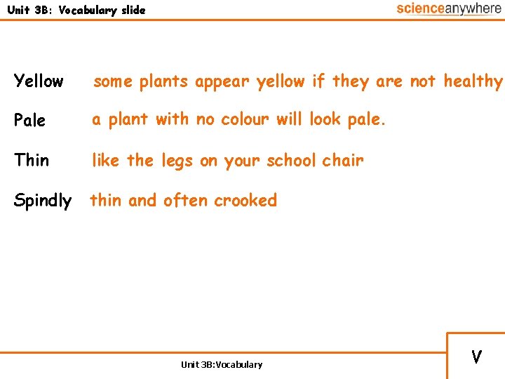 Unit 3 B: Vocabulary slide Yellow some plants appear yellow if they are not