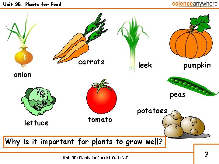 Unit 3 B: Plants for Food carrots onion leek pumpkin peas lettuce tomato potatoes