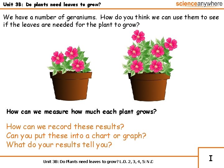 Unit 3 B: Do plants need leaves to grow? We have a number of