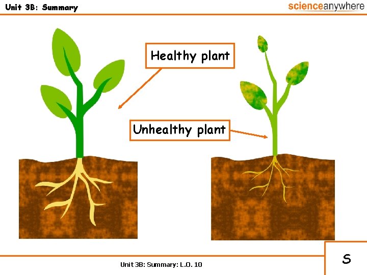 Unit 3 B: Summary Healthy plant Unhealthy plant Unit 3 B: Summary: L. O.