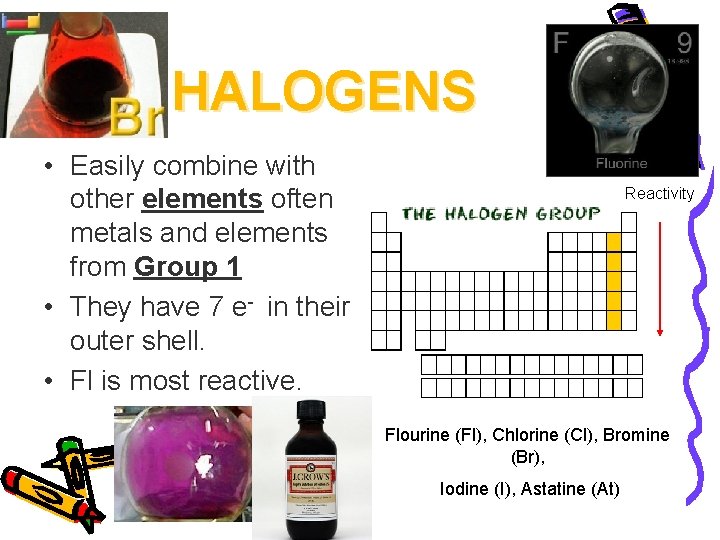 HALOGENS • Easily combine with other elements often metals and elements from Group 1