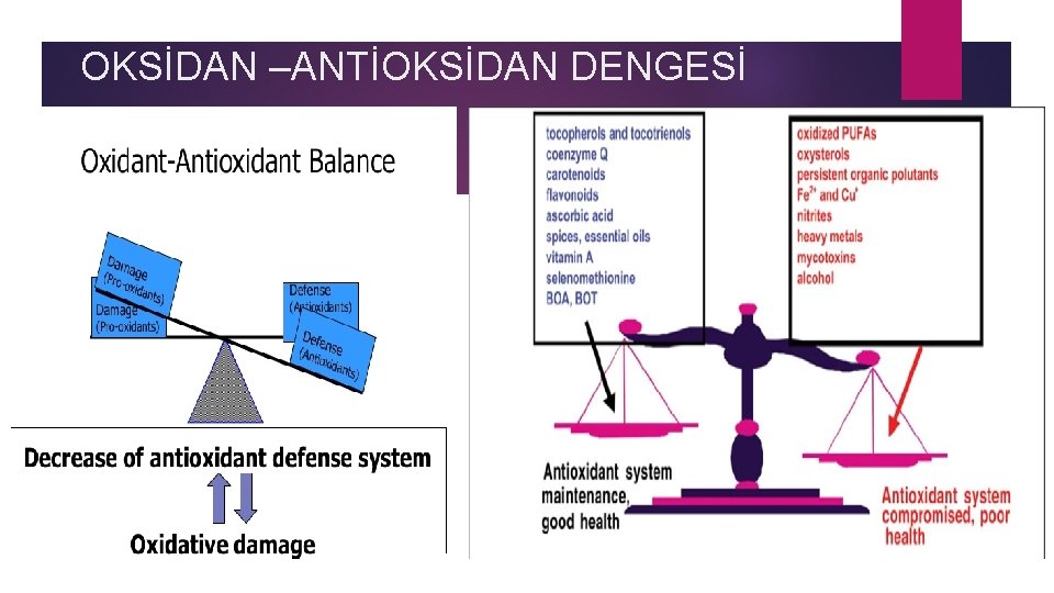 OKSİDAN –ANTİOKSİDAN DENGESİ 