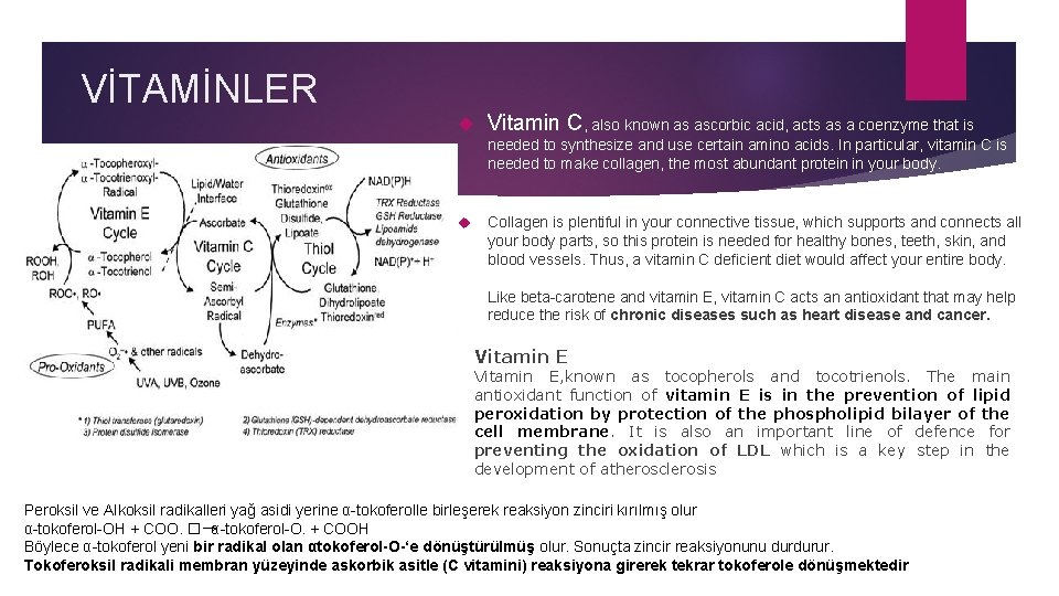 VİTAMİNLER Vitamin C, also known as ascorbic acid, acts as a coenzyme that is