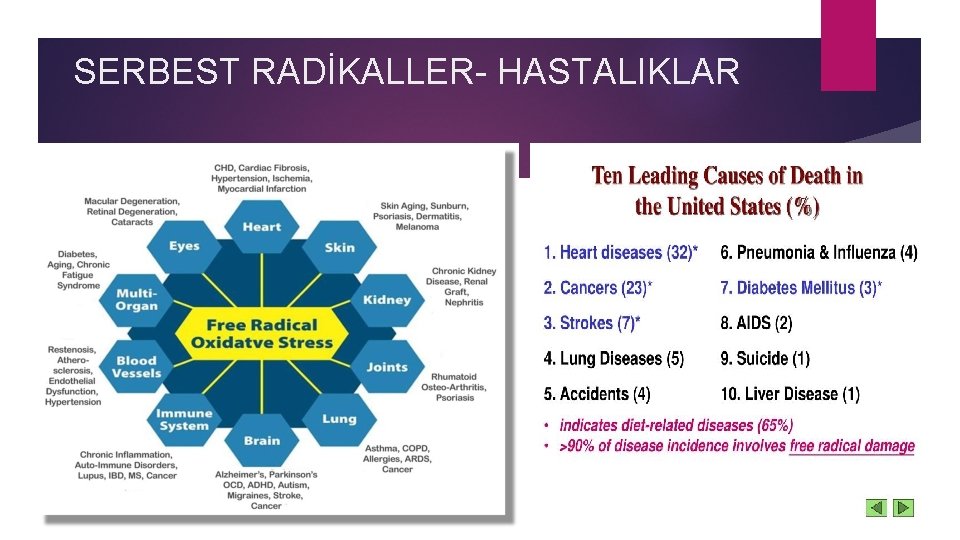 SERBEST RADİKALLER- HASTALIKLAR 