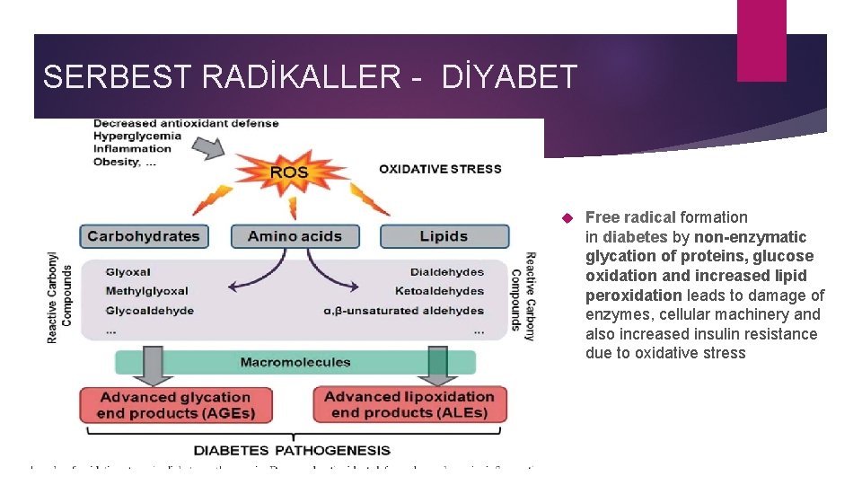 SERBEST RADİKALLER - DİYABET Free radical formation in diabetes by non-enzymatic glycation of proteins,