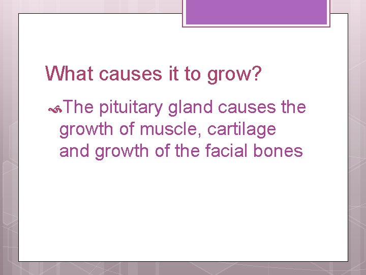 What causes it to grow? The pituitary gland causes the growth of muscle, cartilage