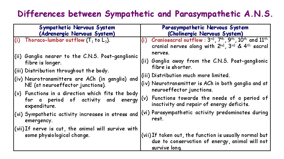 Differences between Sympathetic and Parasympathetic A. N. S. Sympathetic Nervous System (Adrenergic Nervous System)