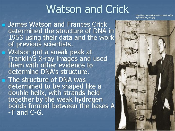 Watson and Crick n n n James Watson and Frances Crick determined the structure