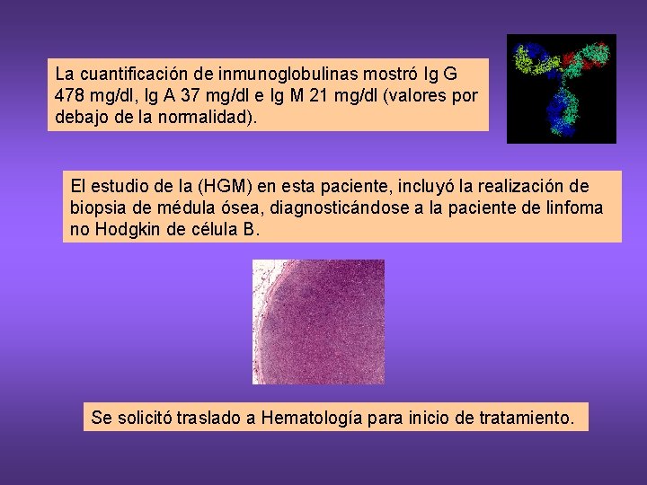 La cuantificación de inmunoglobulinas mostró Ig G 478 mg/dl, Ig A 37 mg/dl e