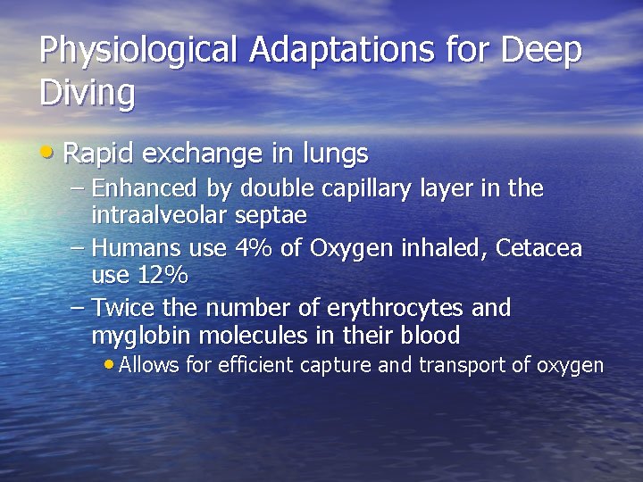 Physiological Adaptations for Deep Diving • Rapid exchange in lungs – Enhanced by double