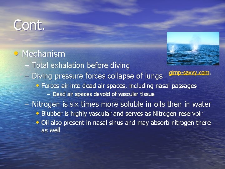 Cont. • Mechanism – Total exhalation before diving gimp-savvy. com. – Diving pressure forces