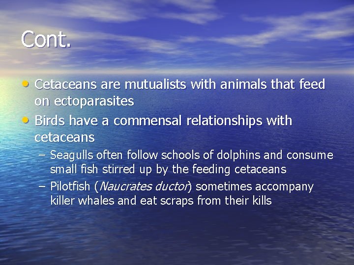 Cont. • Cetaceans are mutualists with animals that feed • on ectoparasites Birds have