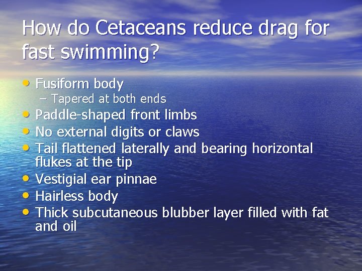 How do Cetaceans reduce drag for fast swimming? • Fusiform body – Tapered at