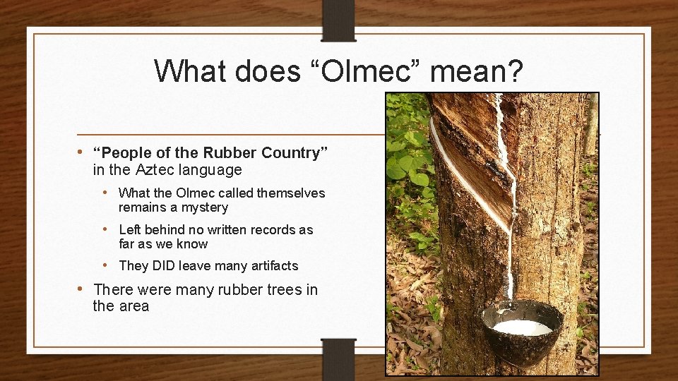 What does “Olmec” mean? • “People of the Rubber Country” in the Aztec language