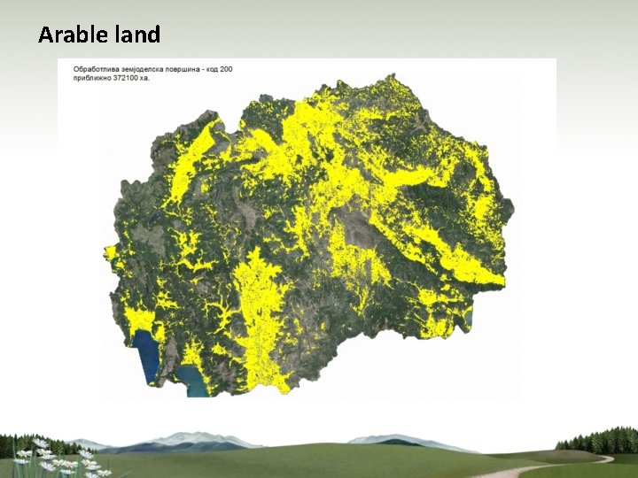 Arable land 
