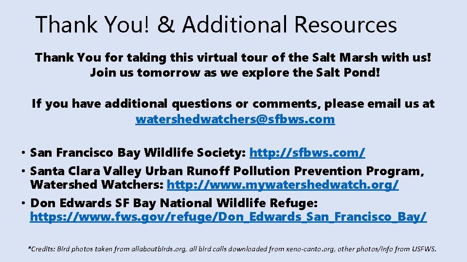 Thank You! & Additional Resources Thank You for taking this virtual tour of the